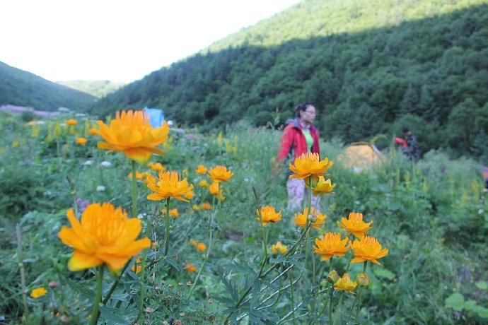 恒山怎么去 恒山怎么去五台山