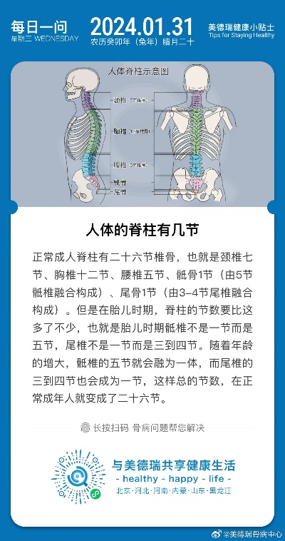 人体脊椎多少节 人体脊椎多少节 7 ,12,5 巧合