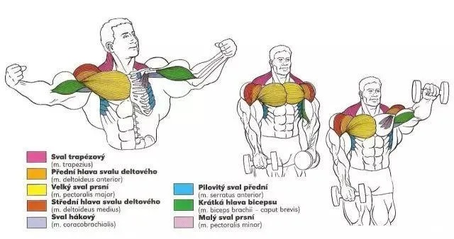 腋下肌肉怎么练图解 腋下肌肉怎么练图解大全
