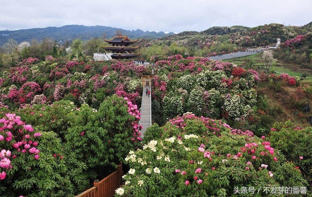 怎么介绍贵州 怎么介绍贵州毕节