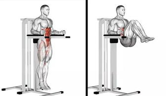 新手怎么单杠卷腹 单杠卷腹怎么轻松上去