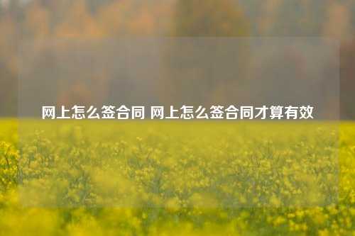 网上怎么签合同 网上怎么签合同才算有效