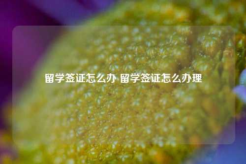 留学签证怎么办 留学签证怎么办理