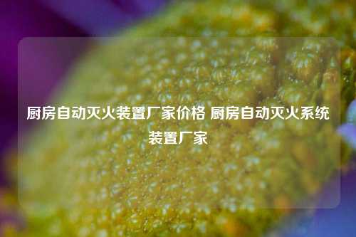 厨房自动灭火装置厂家价格 厨房自动灭火系统装置厂家