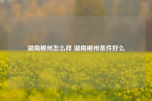 湖南郴州怎么样 湖南郴州条件好么