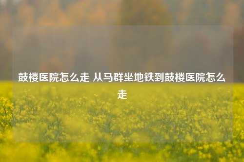 鼓楼医院怎么走 从马群坐地铁到鼓楼医院怎么走