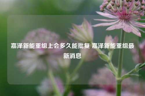 嘉泽新能重组上会多久能批复 嘉泽新能重组最新消息