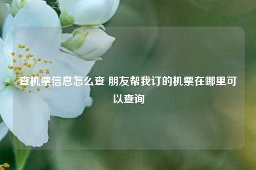 查机票信息怎么查 朋友帮我订的机票在哪里可以查询