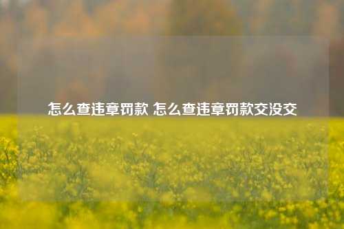 怎么查违章罚款 怎么查违章罚款交没交