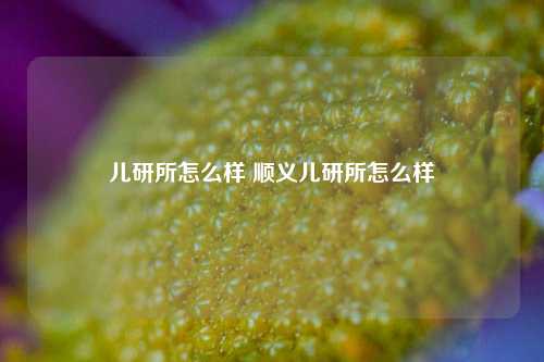 儿研所怎么样 顺义儿研所怎么样