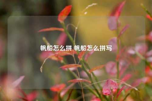 帆船怎么拼 帆船怎么拼写