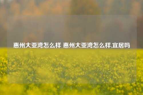 惠州大亚湾怎么样 惠州大亚湾怎么样,宜居吗