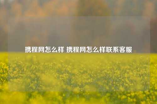 携程网怎么样 携程网怎么样联系客服