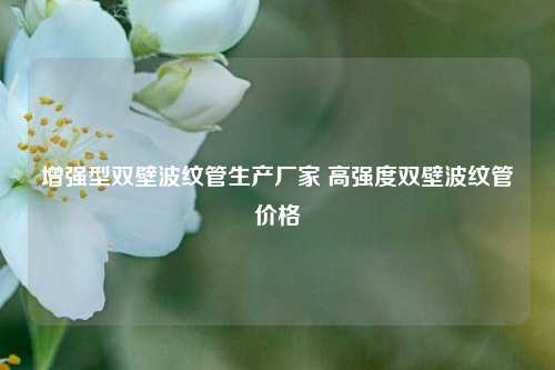 增强型双壁波纹管生产厂家 高强度双壁波纹管价格