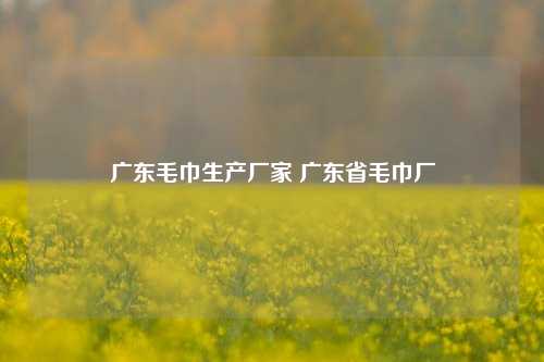 广东毛巾生产厂家 广东省毛巾厂