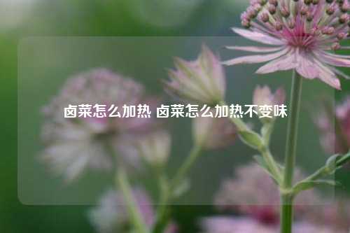 卤菜怎么加热 卤菜怎么加热不变味