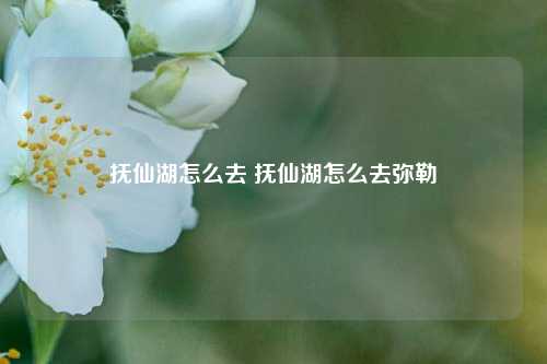 抚仙湖怎么去 抚仙湖怎么去弥勒