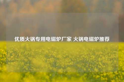 优质火锅专用电磁炉厂家 火锅电磁炉推荐