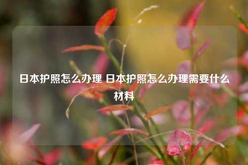 日本护照怎么办理 日本护照怎么办理需要什么材料