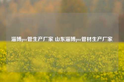 淄博pvc管生产厂家 山东淄博pvc管材生产厂家