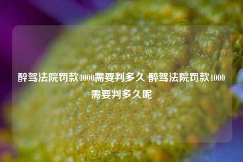 醉驾法院罚款4000需要判多久 醉驾法院罚款4000需要判多久呢