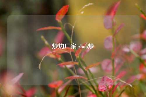 炒灼厂家 zhuo炒