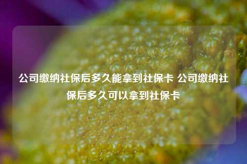 公司缴纳社保后多久能拿到社保卡 公司缴纳社保后多久可以拿到社保卡