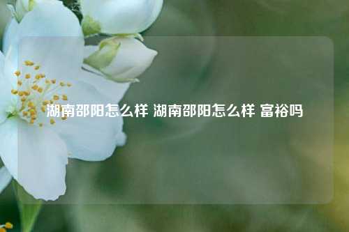 湖南邵阳怎么样 湖南邵阳怎么样 富裕吗