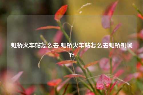 虹桥火车站怎么去 虹桥火车站怎么去虹桥机场T2