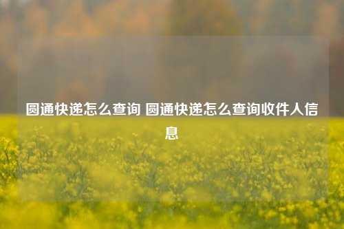 圆通快递怎么查询 圆通快递怎么查询收件人信息