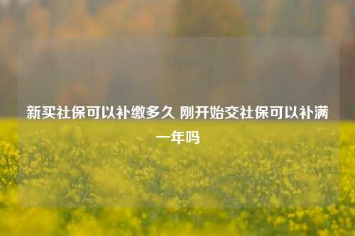 新买社保可以补缴多久 刚开始交社保可以补满一年吗