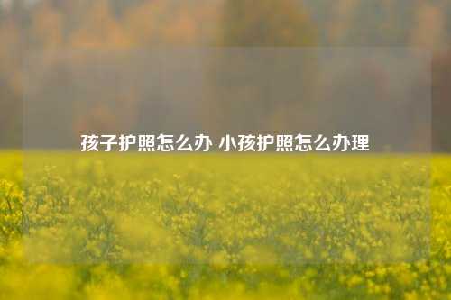 孩子护照怎么办 小孩护照怎么办理