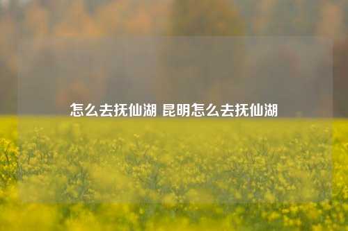 怎么去抚仙湖 昆明怎么去抚仙湖