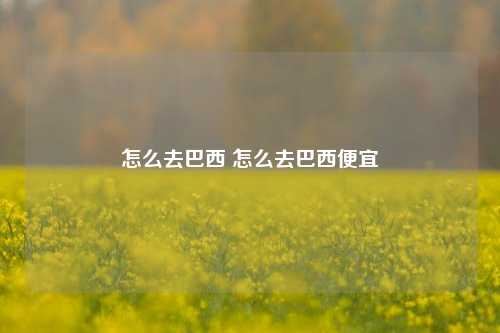 怎么去巴西 怎么去巴西便宜