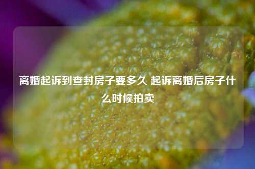 离婚起诉到查封房子要多久 起诉离婚后房子什么时候拍卖