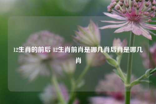 12生肖的前后 12生肖前肖是哪几肖后肖是哪几肖