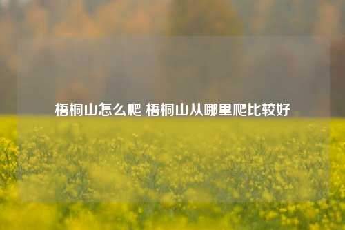 梧桐山怎么爬 梧桐山从哪里爬比较好