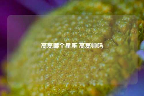 高磊哪个星座 高磊帅吗