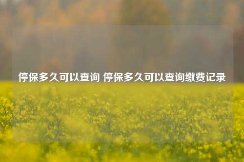 停保多久可以查询 停保多久可以查询缴费记录