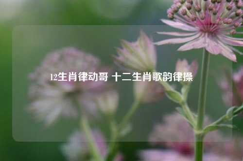 12生肖律动哥 十二生肖歌韵律操