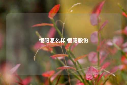 恒阳怎么样 恒阳股份