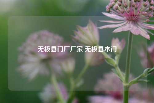 无极县门厂厂家 无极县木门