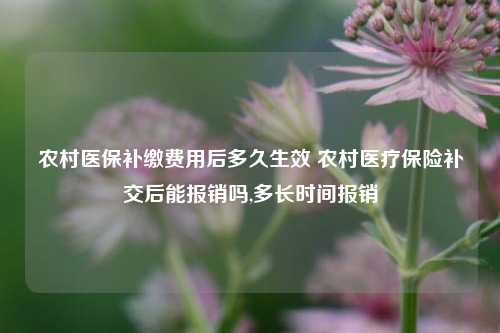 农村医保补缴费用后多久生效 农村医疗保险补交后能报销吗,多长时间报销