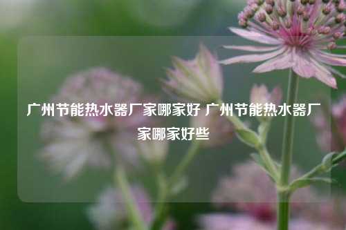 广州节能热水器厂家哪家好 广州节能热水器厂家哪家好些