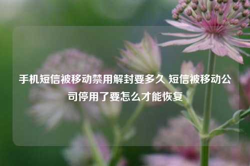 手机短信被移动禁用解封要多久 短信被移动公司停用了要怎么才能恢复