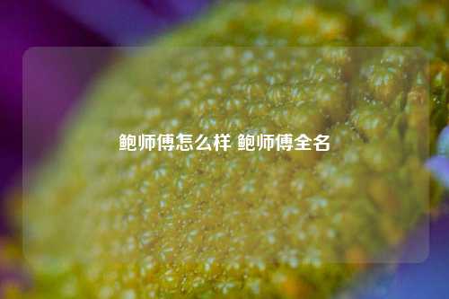 鲍师傅怎么样 鲍师傅全名