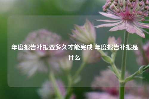 年度报告补报要多久才能完成 年度报告补报是什么