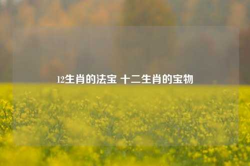 12生肖的法宝 十二生肖的宝物