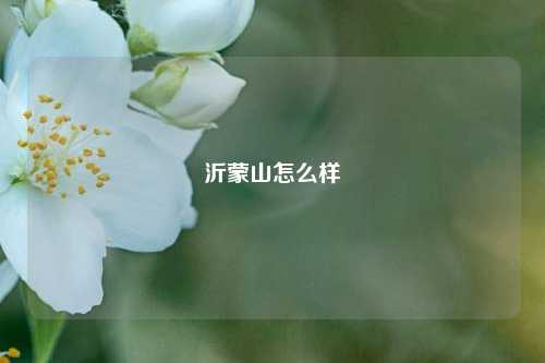 沂蒙山怎么样