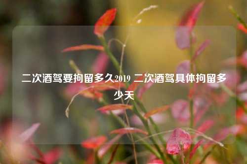 二次酒驾要拘留多久2019 二次酒驾具体拘留多少天